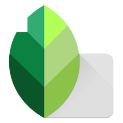 Snapseed-Icon
